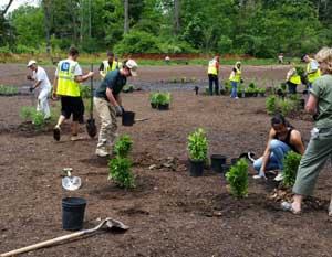 Future stormwater wetland