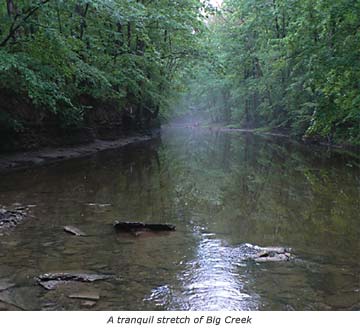 A tranquil stretch of Big Creek in Brooklyn